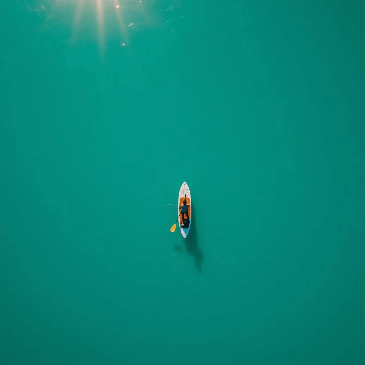 Paddle Boards